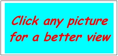 Text Box: Click any picture for a better view
